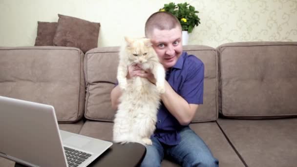Muž ukazuje velkou dospělou kočku na svém blogu - Záběry, video