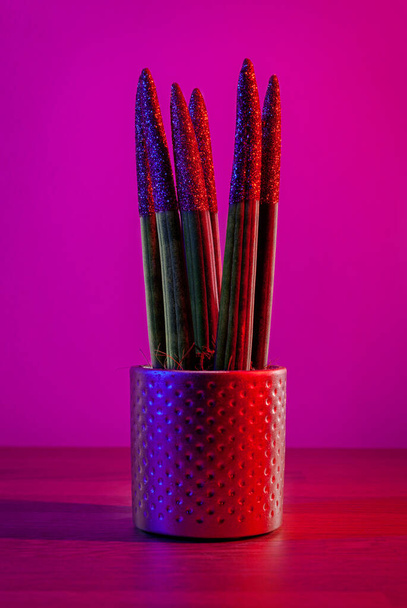 Декоративное растение - Сансевиерия цилиндрическая на кастрюле на темно-пурпурном фоне - Фото, изображение