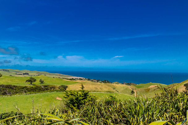 Deniz fenerinden Manakua Limanı manzarası. Manakua Başları, Auckland, Yeni Zeland - Fotoğraf, Görsel
