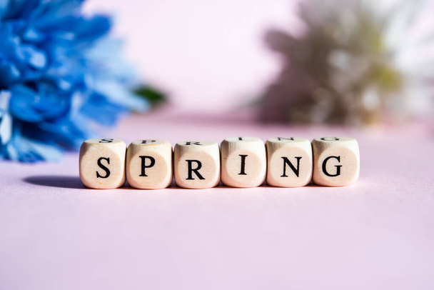 La nueva estación del año, primavera, palabra de primavera sobre un fondo rosa, púrpura, con flores detrás, Marzo 20 / 21 hemisferio norte, Septiembre 22 / 23 hemisferio sur, cambio climático - Foto, Imagen