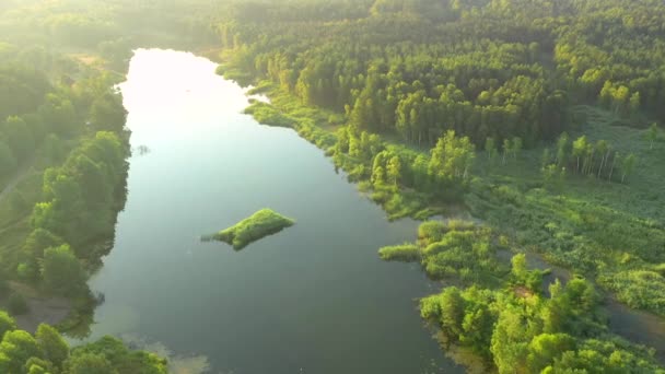 Látványos kilátás nyílik a kék tavak és a zöld erdők egy napsütéses napon. Helyszín Small Polissya, Ukrajna, Európa. Filmes légi felvétel. Fedezd fel a Föld szépségét. 4k-ben forgatták, drón videó. - Felvétel, videó
