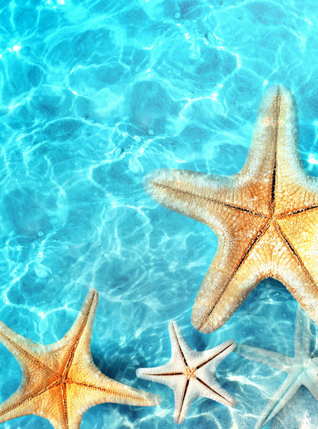 Starfish on the summer beach in sea water. Summer background. Summer time. - Photo, Image