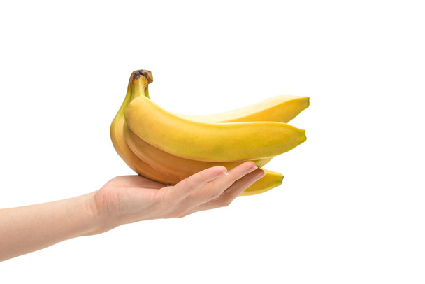 Ένα μάτσο μπανάνες στο χέρι γυναίκα απομονώνονται σε λευκό φόντο. - Φωτογραφία, εικόνα
