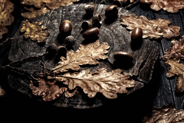 Autumn photo. Acorns and leaves on a stump. - Foto, afbeelding