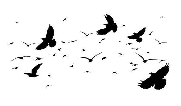 A flock of flying birds. Free birds. Vector illustration - Vector, Image