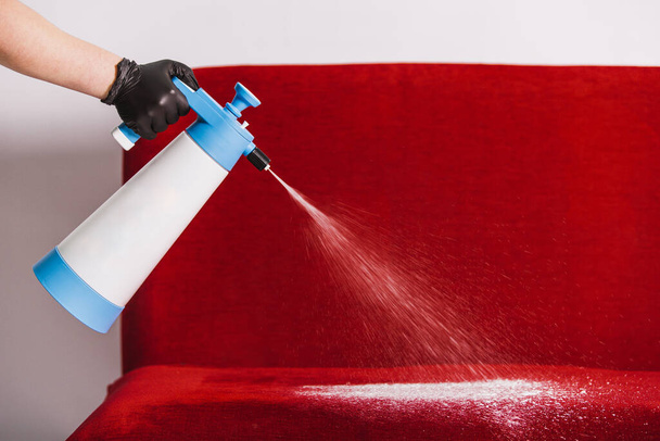 business of cleaning of sofas, hand in a glove sprays chemistry on a red sofa - Foto, Imagem