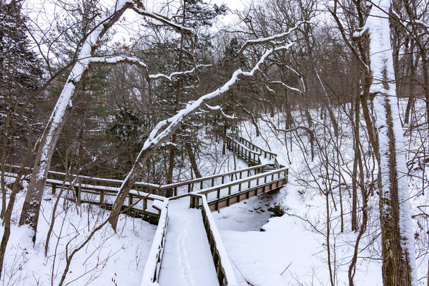 Snow and ice covered trails after a winter storm.  Starved Rock state park, Illinois, USA. - Photo, Image