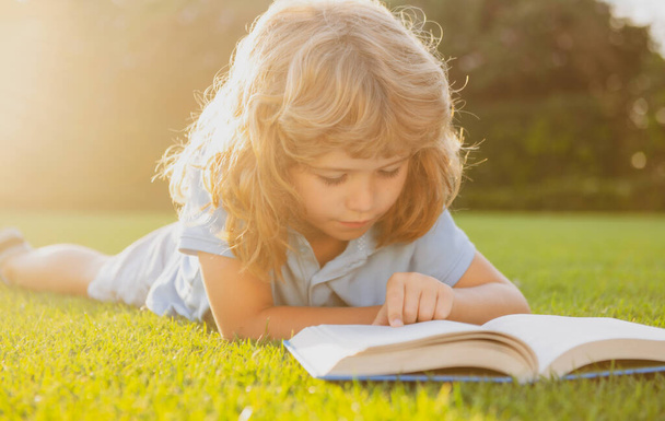Child relax in the holiday. Kid read books on grass background. - Photo, image
