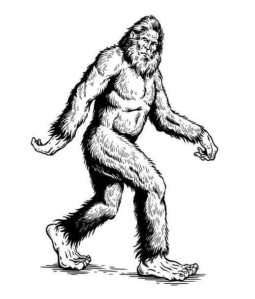 Sasquatch, Yeti, Bigfoot caminando vector ilustración  - Vector, imagen