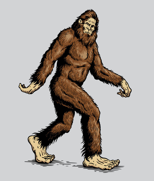 Sasquatch, Yeti, Bigfoot Walking Vektor Illustration  - Vektor, Bild