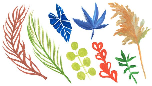 Набір тропічних сушених квітів з гілок і листя, пофарбованих гуашю
 - Фото, зображення