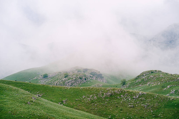 Hory v národním parku Durmitor pokrývá mlha - Fotografie, Obrázek