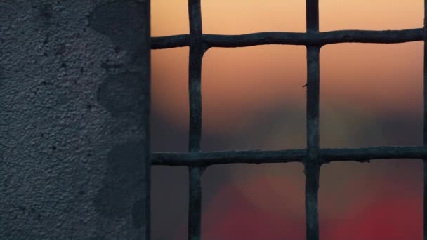 Closeup μεταλλικό φράχτη δίχτυ με ξεφλούδισμα παλιά μπογιά στο ηλιοβασίλεμα. Έννοια περιορισμού - Πλάνα, βίντεο