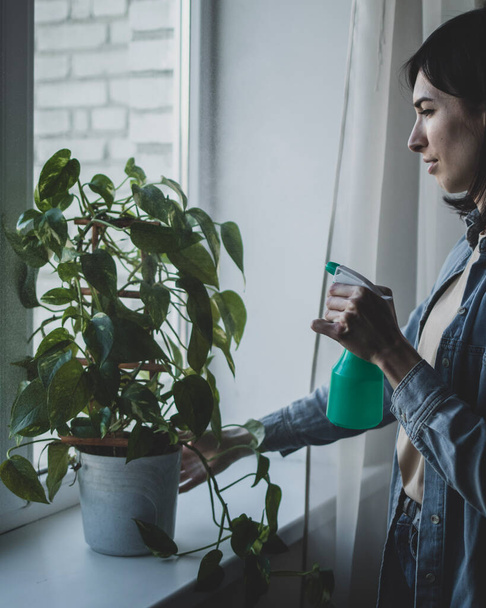 Woman is spraying the water from pulverizer on house plant - Foto, immagini