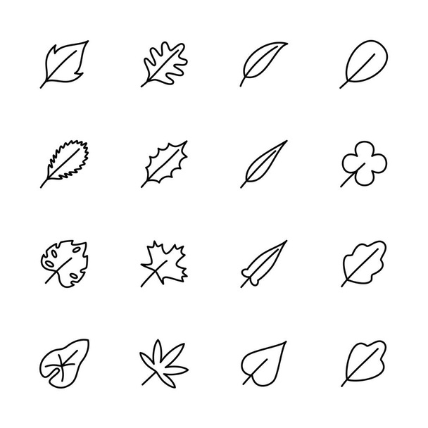 Set collezione icone linea foglia. vettore di ictus modificabile, isolato su sfondo bianco - Vettoriali, immagini