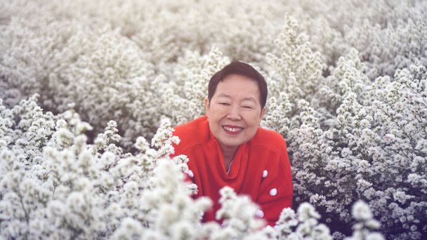 Asian elderly senior woman in red sweater Christmas New Year in flower field morning - Foto, immagini