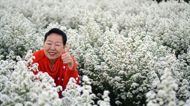 Asian elderly senior woman in red sweater Christmas New Year in flower field morning - Foto, immagini