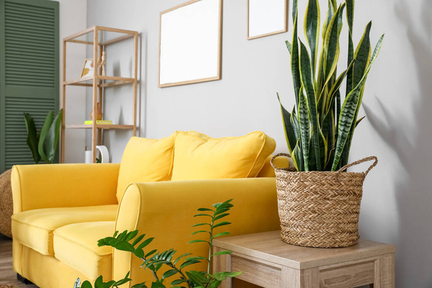 Houten tafel met houseplant en gele bank bij lichte wand - Foto, afbeelding
