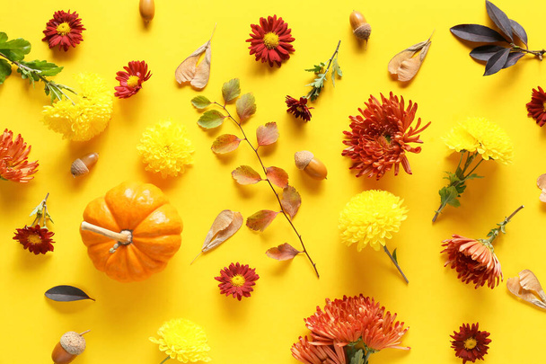 Состав с цветками хризантемы, тыквы и натурального декора леса на желтом фоне - Фото, изображение