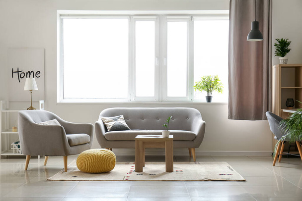 Interno di soggiorno luminoso con divano grigio, poltrona e finestra - Foto, immagini