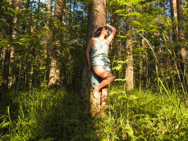 Sexy dark-haired woman with an attractive body with slender tanned legs in a pine forest in the sunlight, the concept of beauty and health, outdoor recreation, harmony with the surrounding world, walking in the forest, alone with nature, lifestyle - 写真・画像