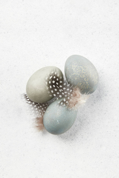 Αυγά και φτερά σε γκρι φόντο. Έννοια εορτασμού Πάσχα - Φωτογραφία, εικόνα