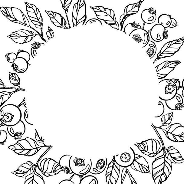 Berries card. Outline black and white graphics - Photo, Image