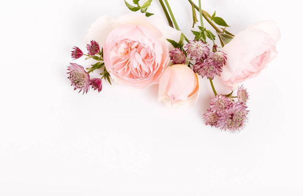 Festive pink flower rose frame on the white background. - Photo, Image