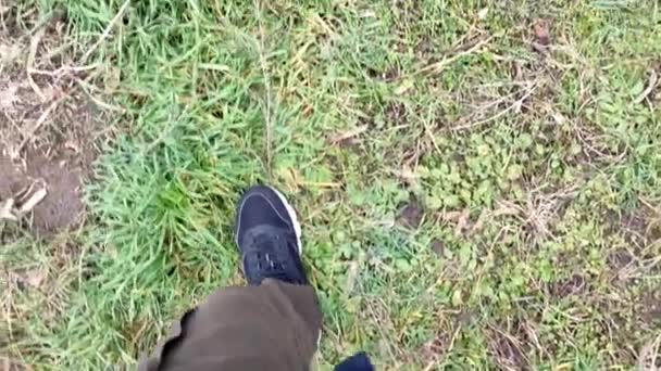 Muž kráčí po podzimní trávě, pohled první osoby, shora dolů na jeho nohy - Záběry, video