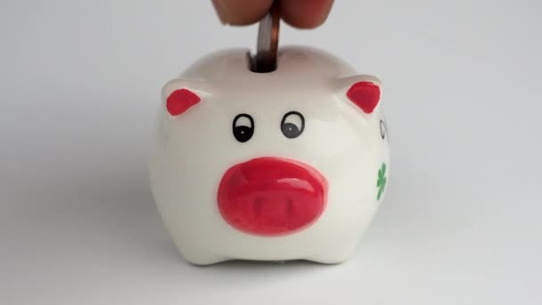 Geld wordt gestoken in de spaarpot Piggy bank met geld. - Video