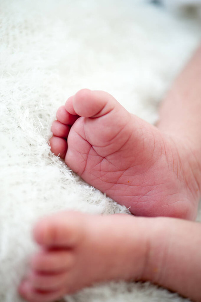 Newborn baby in first week of his life - Valokuva, kuva