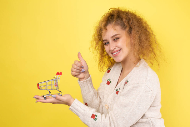 A young beautiful curly red-haired girl holds a food cart in her hands. Shopping concept. - Foto, Imagem