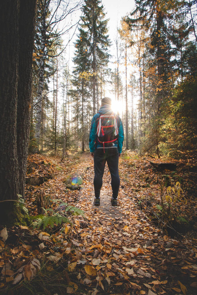 Muscular blond man in sportswear walks through the Finnish wilderness. Discovering new places in Scandinavia. Autumn colors with sunset. Hiker with backpack on his back on his way through nature. - 写真・画像