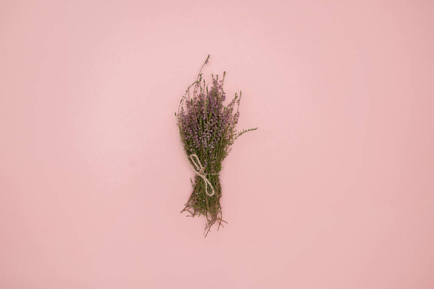 Flor de alfiler seco sobre fondo rosa. plano, vista superior, espacio para copiar - Foto, Imagen