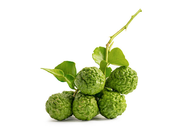 Fresh bergamot or kaffir lime with leaf isolate on white background with clipping path, vegetable herb for cooking and health. - Photo, Image
