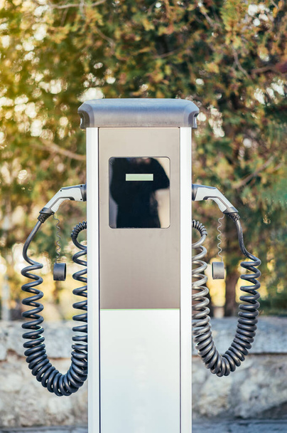 Imagem vertical de um carregador de carro elétrico com duas tomadas. Imagem com profundidade de campo rasa - Foto, Imagem