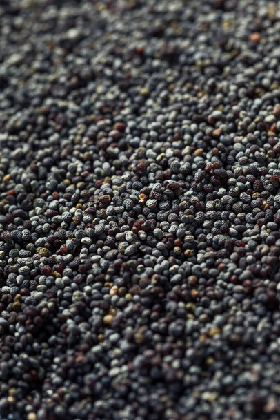 Raw Organic Poppy Seeds in a Bowl - Foto, Imagem