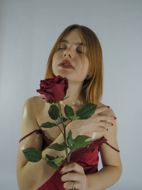 A young brown-haired woman with an attractive appearance in a red negligee with a red rose flower in her hands on a light wall background, close-up, the concept of the holidays of St. Valentine, March 8 - Foto, Imagem