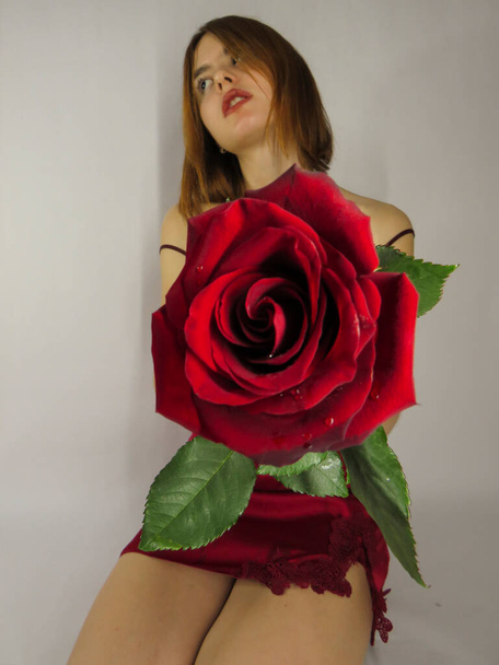A young brown-haired woman with an attractive appearance in a red negligee with a red rose flower in her hands on a light wall background, close-up, the concept of the holidays of St. Valentine,March 8,signs of attention, romantic dates,female beauty - Photo, Image