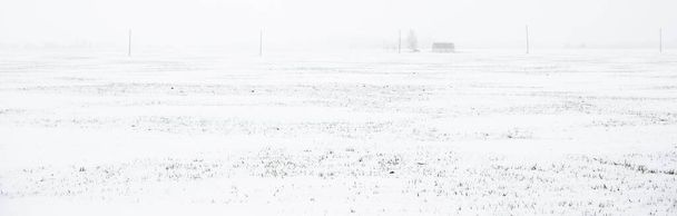 Pokryte śniegiem pole i linia energetyczna podczas zamieci. Koncepcja krajobrazu zimowego. Odległe miejsca, infrastruktura, komunikacja. Widok panoramiczny - Zdjęcie, obraz