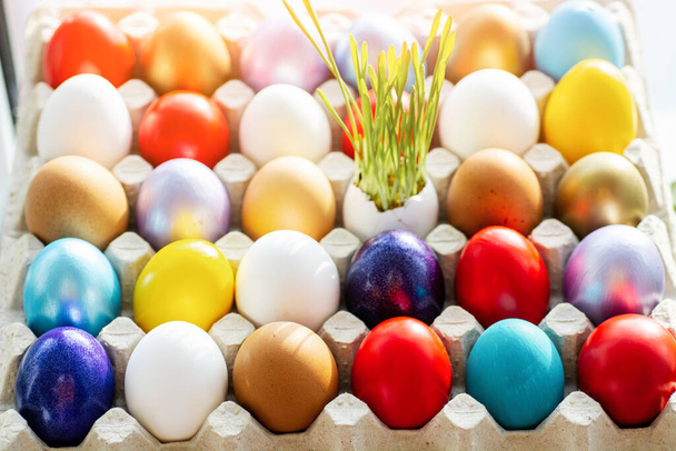 multi colors painted easter eggs in decor nest. Happy Easter holiday card - Foto, Imagem