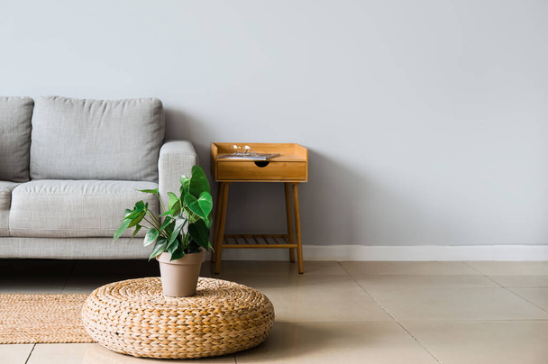 Interno di soggiorno luminoso con divano, tavolo in legno e piante d'appartamento - Foto, immagini