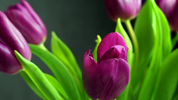 a bouquet of tulips in a stylish vase rotates around its axis. - Footage, Video