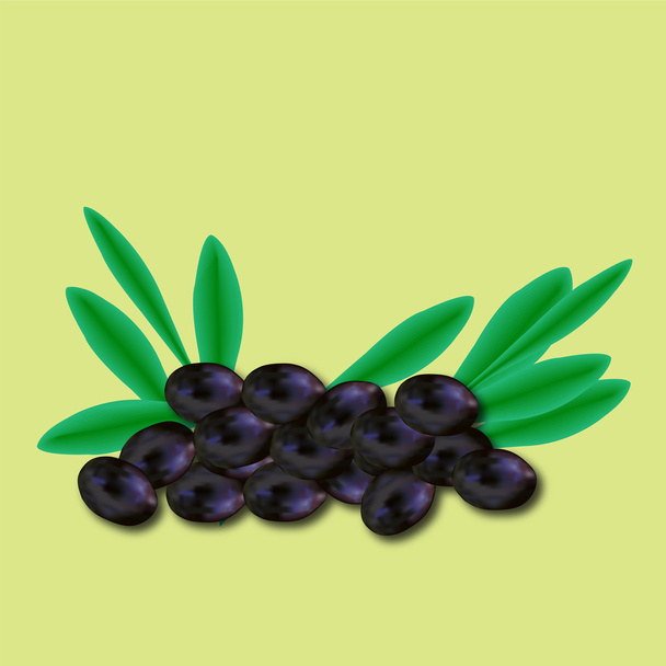 Few olives with leaves - Vector, Image