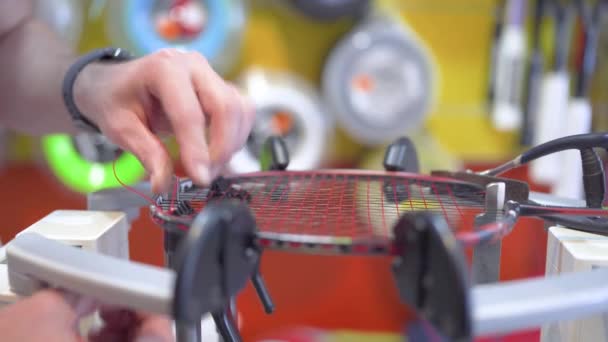 ficelle manuelle d'une raquette de badminton en service - Séquence, vidéo