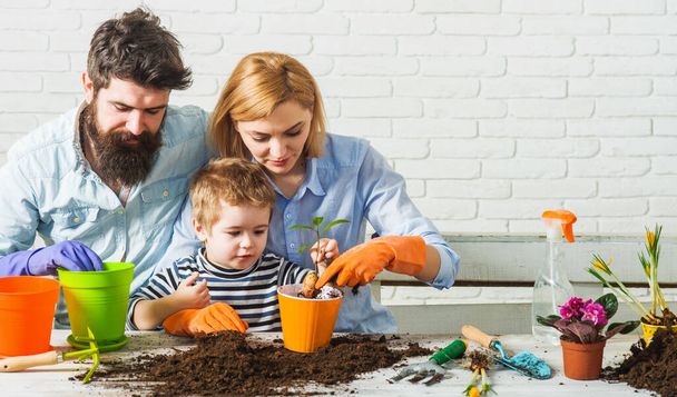 Family Gardening. Child with parents planting flowers. Home garden. Spring time. Care of home plants. - Photo, Image