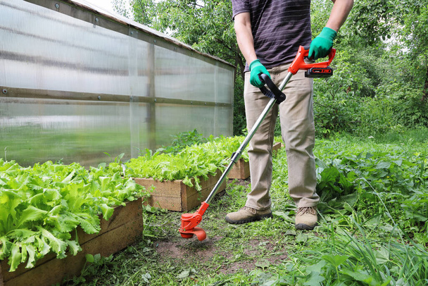 Портативний тример для зрізання трави і небажаної рослини в руках людини В дії, для саду і клумби
 - Фото, зображення