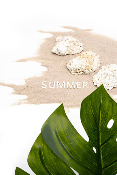 Summer mood creative arrangement. Monstera palm leaf, beautiful seashells, summer - word on white sands.  - Photo, Image