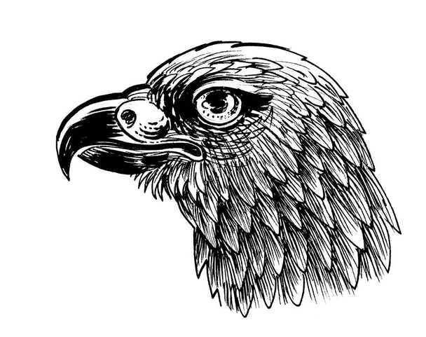 Kartal kuş kafası. Mürekkep siyah beyaz çizim - Fotoğraf, Görsel