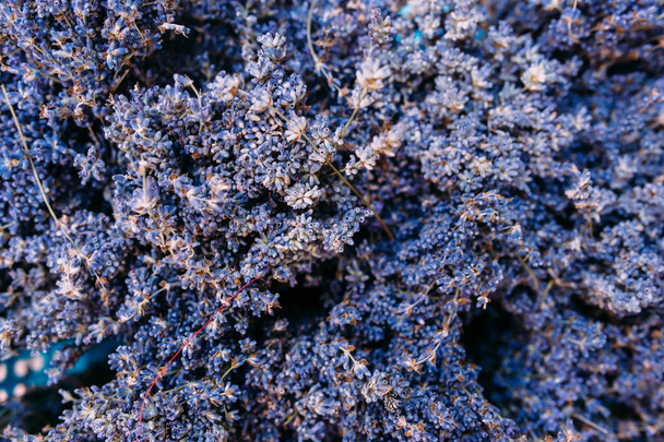 Paljon tuoretta, violettia aromaattista laventelia lahjakaupassa - Valokuva, kuva
